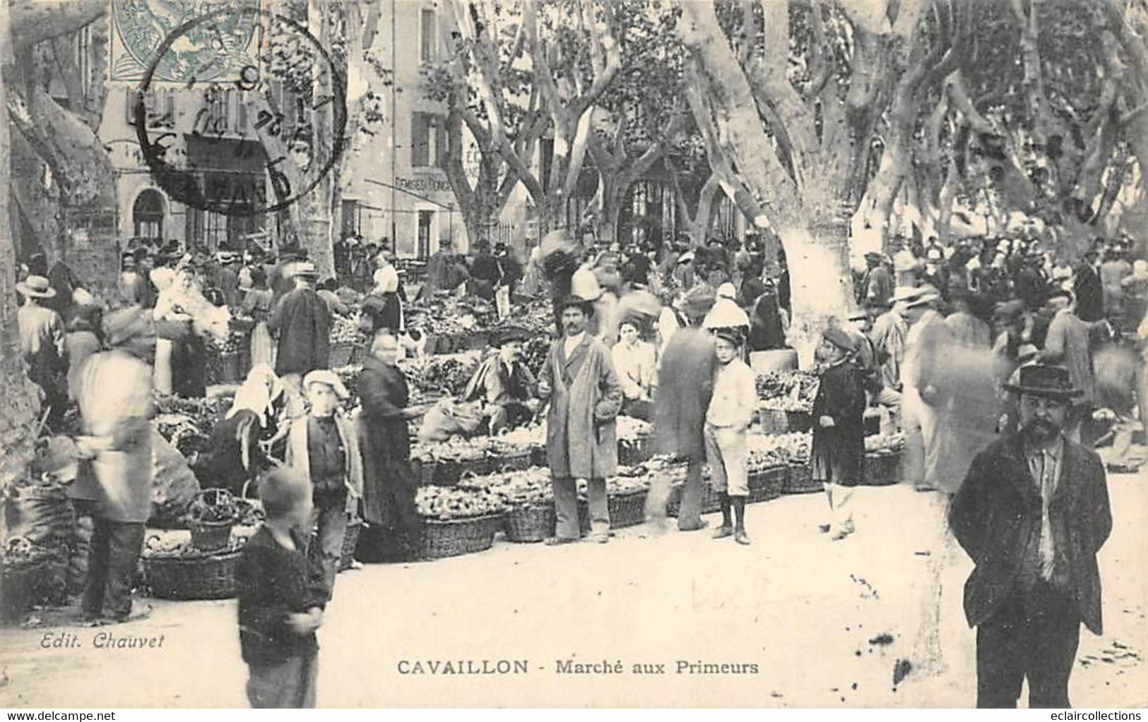 Cavaillon        84       Marché Aux Primeurs         (voir Scan) - Cavaillon