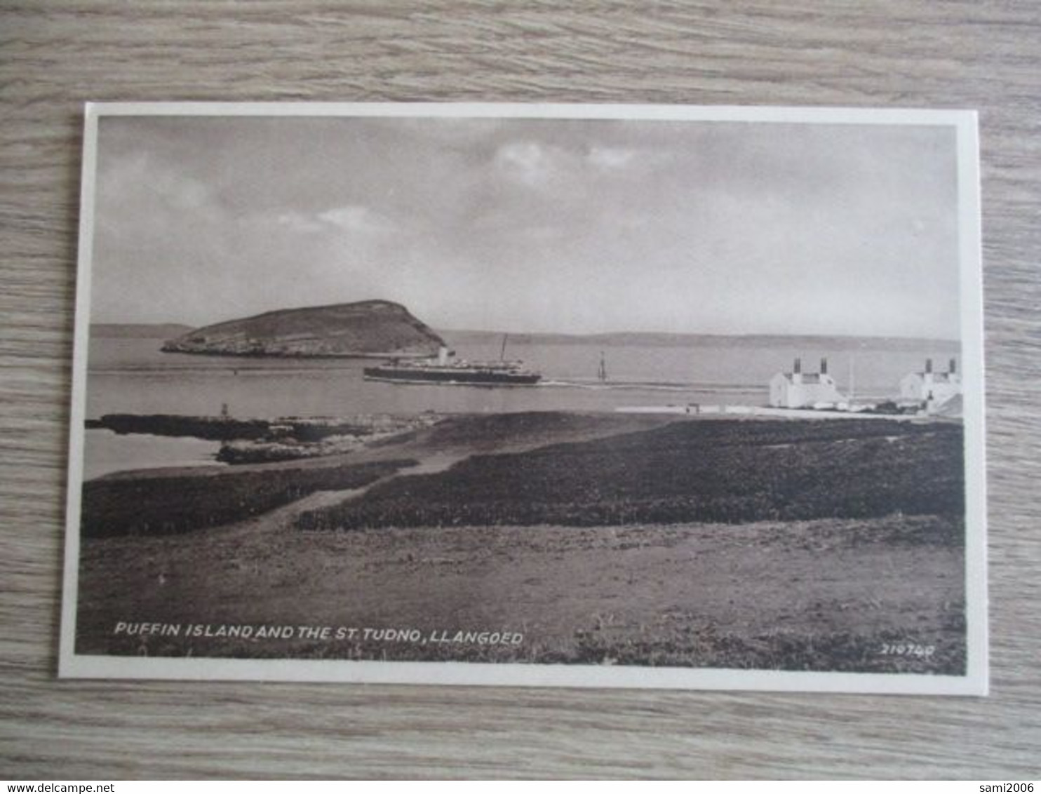 ROYAUME UNI PUFFIN ISLAND AND THE ST TUDNO LLANGOED - Anglesey