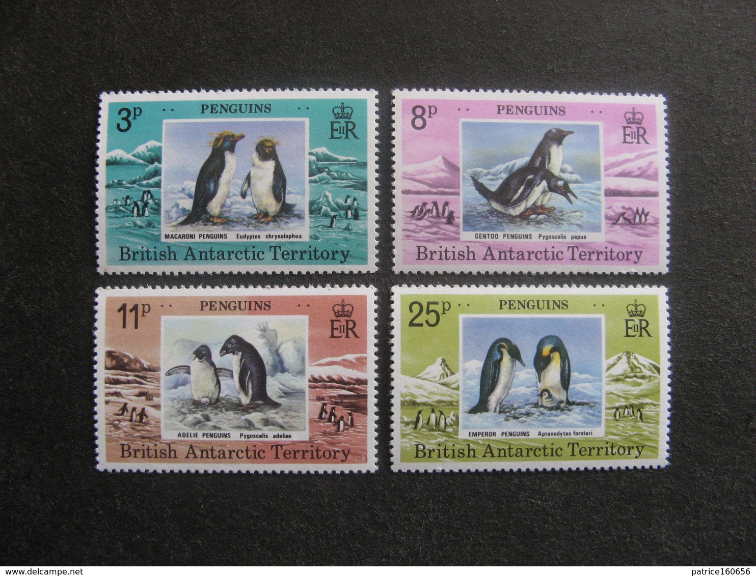 Territoire Antarctique Britannique: TB Série N° 78 Au N° 81, Neufs XX. - Unused Stamps