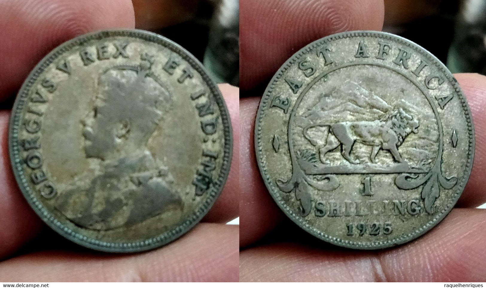 East Africa 1 Shilling 1925 Km#21 (G#01-24) - British Colony