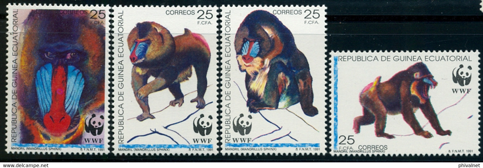 GUINEA ECUATORIAL , ED. 139 / 142 ** , WWF , PROTECCIÓN DE LA NATURALEZA , MONOS , PRIMATES , MANDRIL - Guinea Ecuatorial