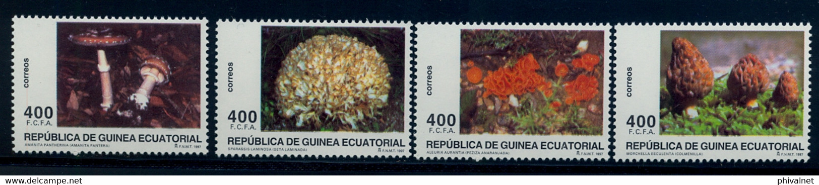 GUINEA ECUATORIAL , ED. 233 / 236 ** , MICOLOGIA , SETAS , MUSHROOMS - Guinée Equatoriale