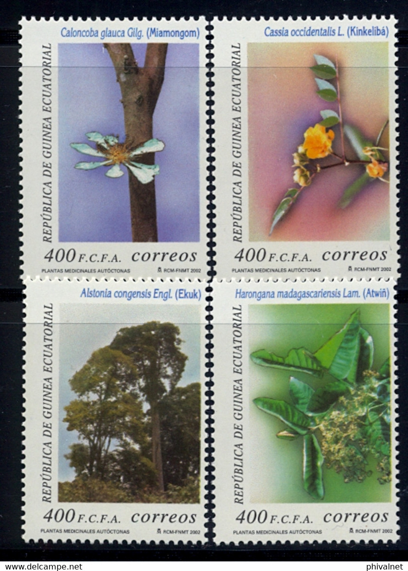 GUINEA ECUATORIAL , ED. 292 / 295  **, PLANTAS MEDICINALES AUTÓCTONAS - Äquatorial-Guinea