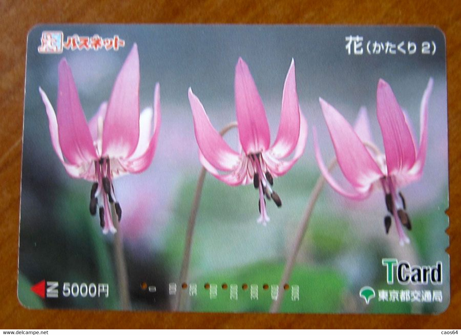 GIAPPONE Ticket Biglietto Bus MetroTreni Fiori Flower - T Card 5000 ¥ - Usato - Mundo