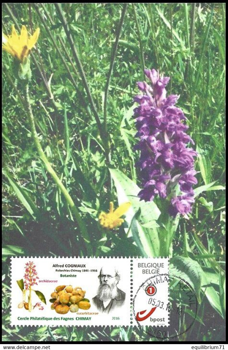 CM/MK - MYSTAMP° - Célestin Alfred Cogniaux - Botaniste Belge / Belgische Botanicus / Belgischer Botaniker - Briefe U. Dokumente