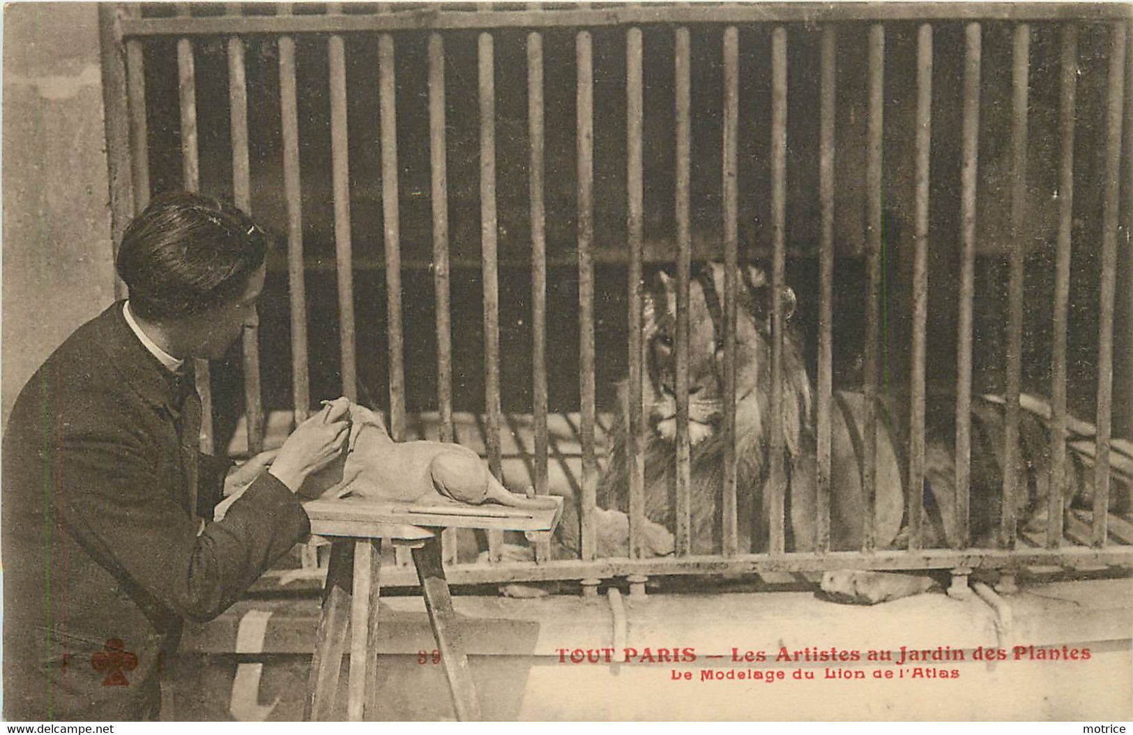 TOUT PARIS - Les Artistes (en Herbe) Au Jardin Des Plantes, Modelage Du Lion De L'atlas. - Parks, Gärten