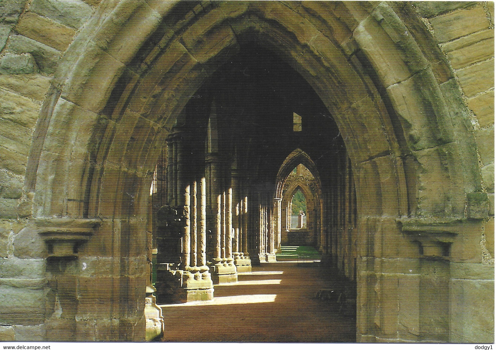 TINTERN ABBEY, WALES. UNUSED POSTCARD  Pa5 - Monmouthshire