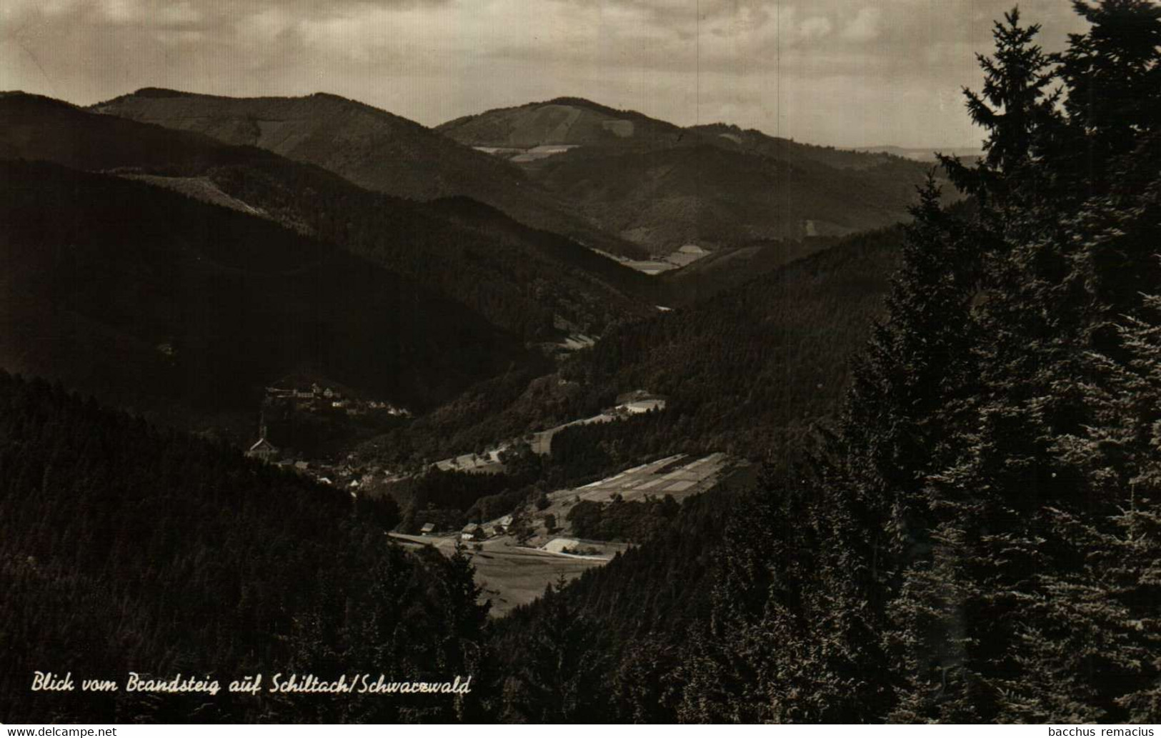 Blick Vom Brandsteig Auf SCHILTACH/Schwarzwald - Schiltach