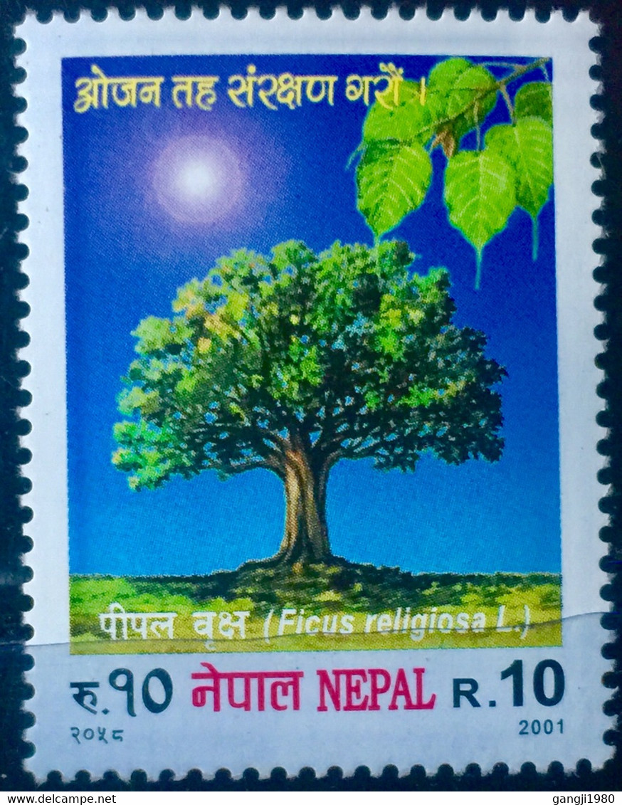 NAPAL 2001 & 1990  MNH 2 STAMP ON FICUS RELIGIOSA TREE & CENTENARY OF BIR  HOSPITAL HEALTH  DISCEASE ARCHITECTURE - Nepal