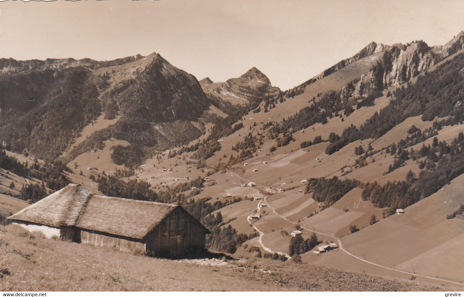 Allières, Chalet En Gros Plan. Chemin De Fer M.O.B. Entre Montbovon Et Jaman - Montbovon