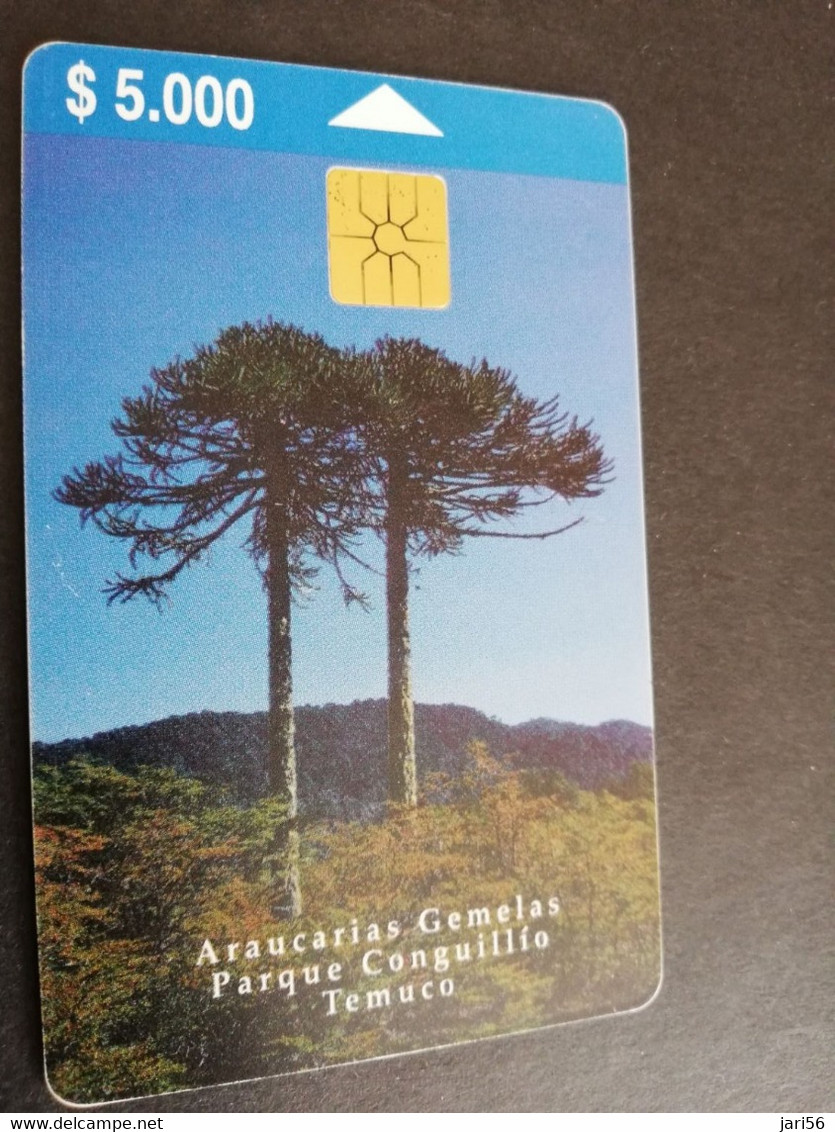 CHILI   CHIP $ 5.000  TREES  ARAUCARIAS GEMELAS / PARQUE CONGUILLIO TEMUCO    FINE USED CARD   ** 5546** - Chile
