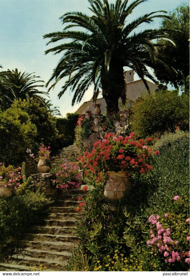 RAYOL CANADEL SUR MER - ESCALIER FLEURI AU RAYOL - Rayol-Canadel-sur-Mer