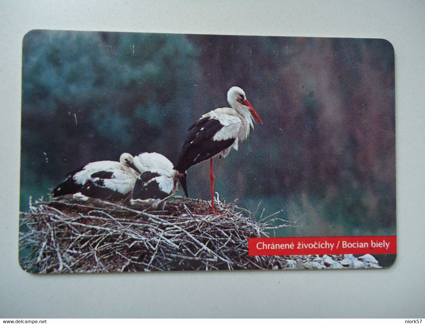 SLOVAKIA USED CARDS    BIRD   Stork - Papegaaien & Parkieten