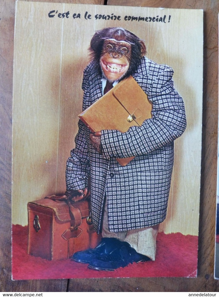 Cartes Postales Ill. Par M.D.(singes Habillés)- C'est ça Le Sourire Commercial ,il Faut Savoir Souffrir Pour être Belle - Singes