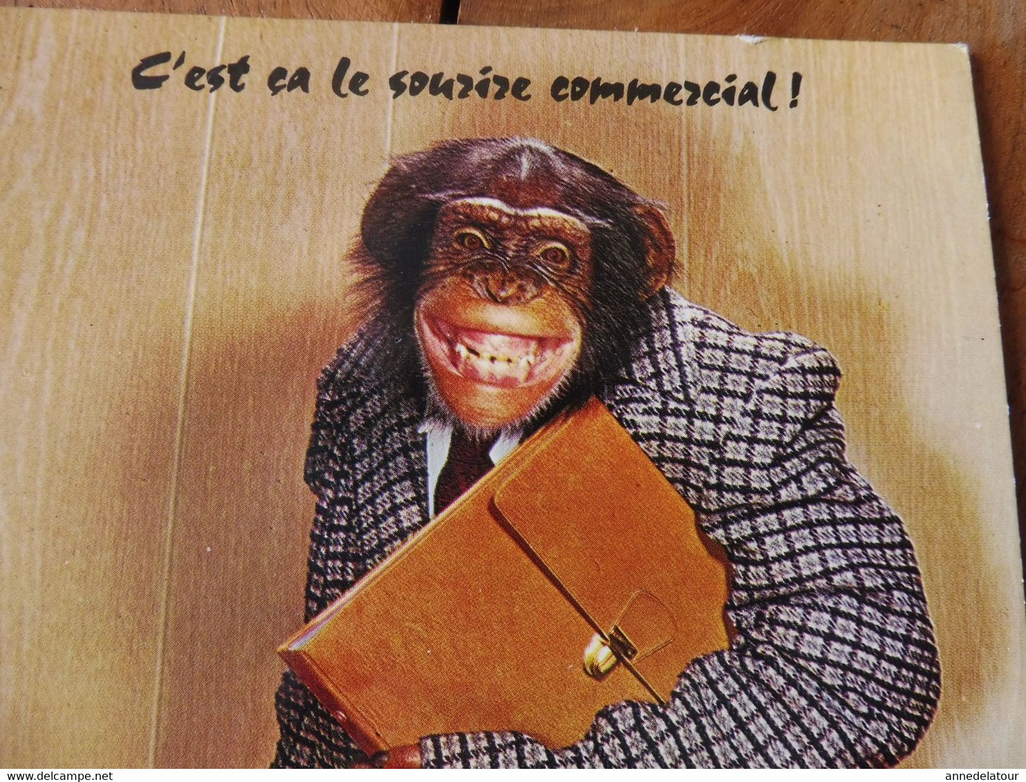 Cartes Postales Ill. Par M.D.(singes Habillés)- C'est ça Le Sourire Commercial ,il Faut Savoir Souffrir Pour être Belle - Singes