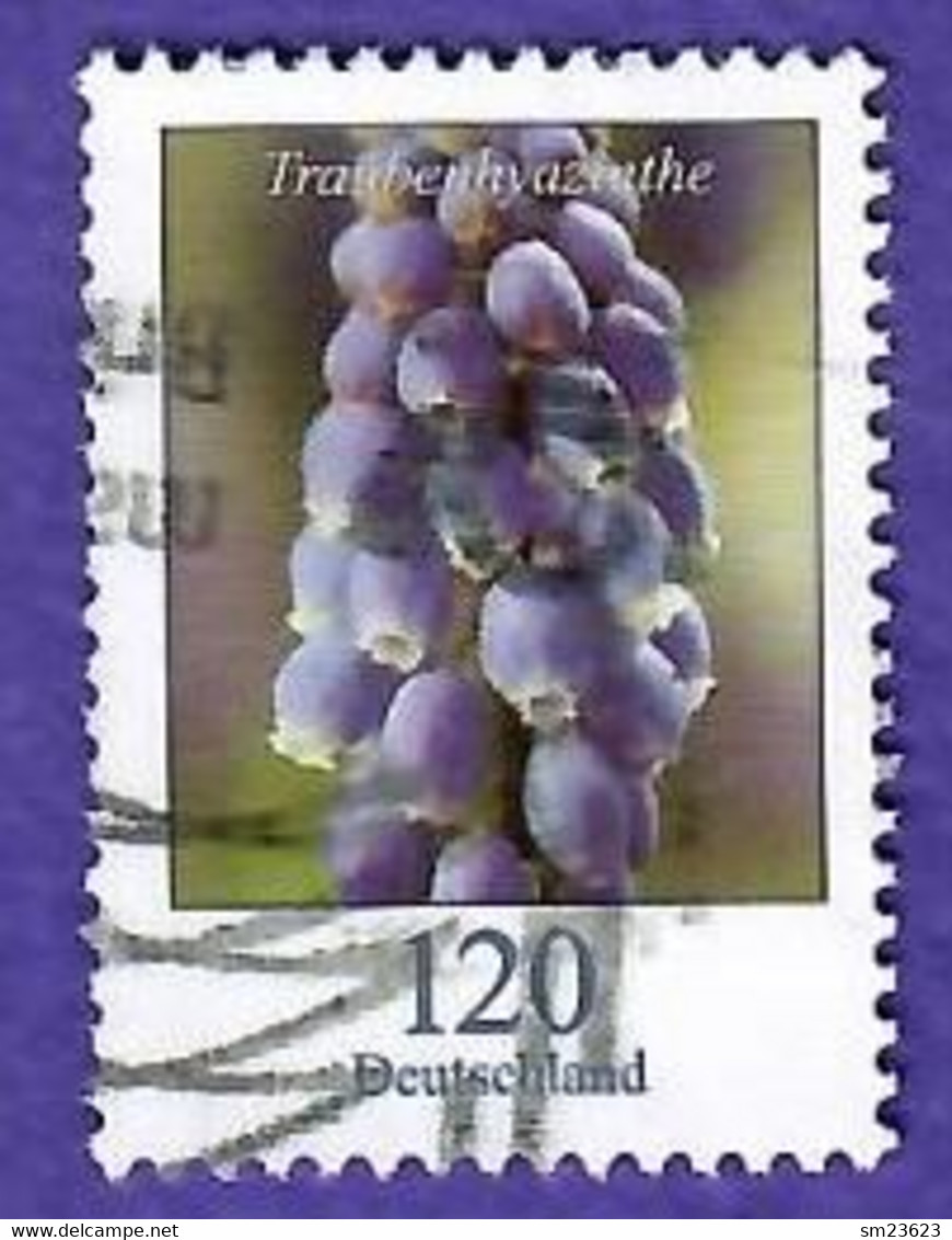 BRD 2019  Mi.Nr. 3447 , Traubenhyazinthe - Dauerserie Blumen - Gestempelt / Fine Used / (o) - Usados