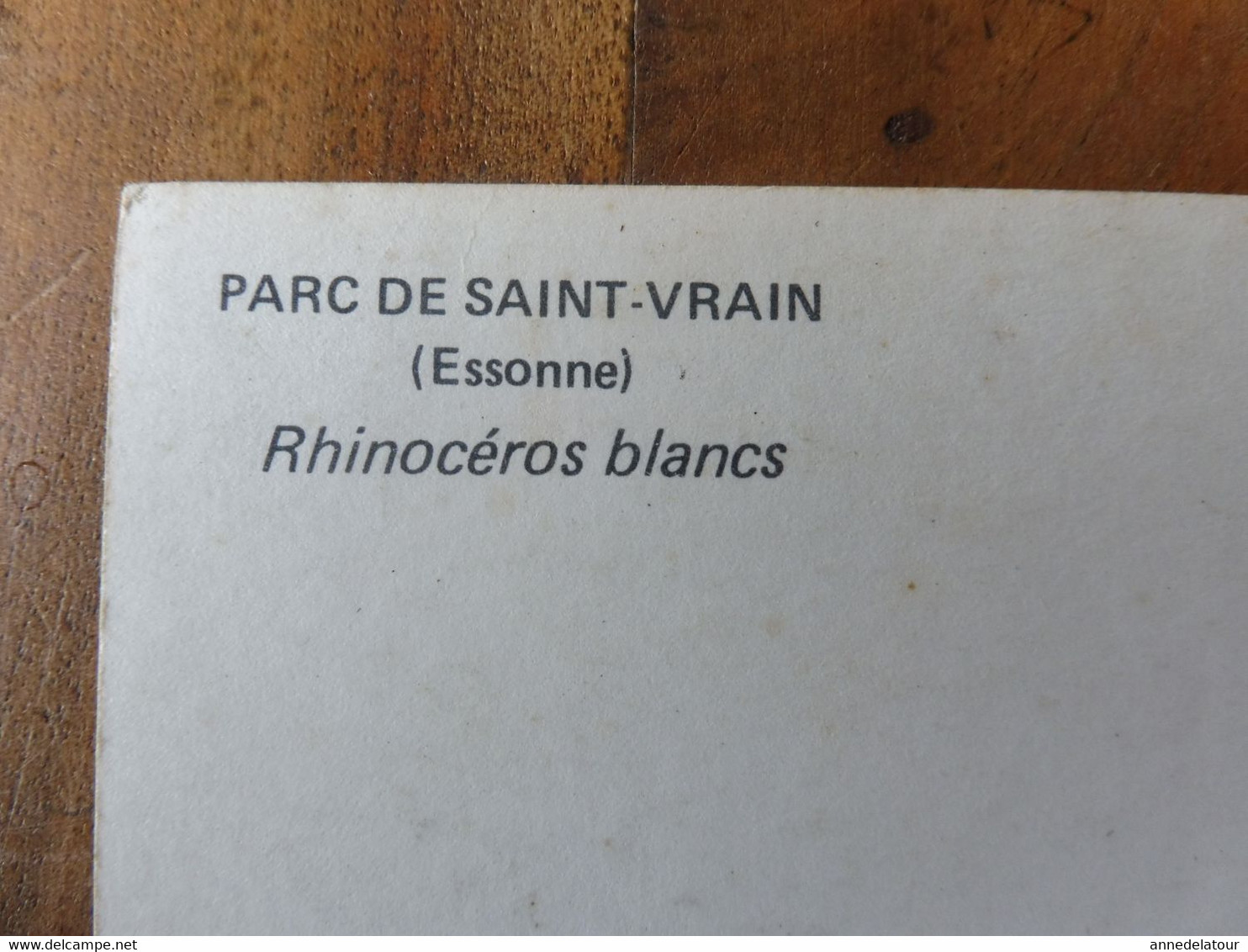 Carte Postale : Rhinocéros Blancs  Au   PARC ANIMALIER De SAINT-VRAIN (Essonne ) - Rinoceronte