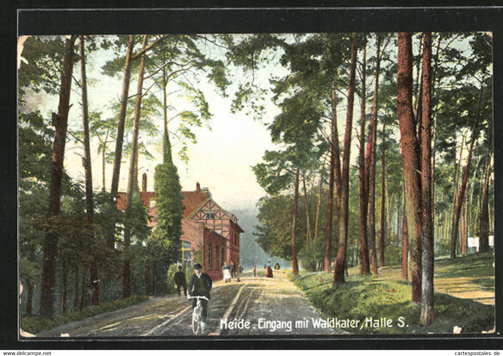 AK Haale / Saale, Gasthaus Heide, Eingang Mit Waldkater - Heide