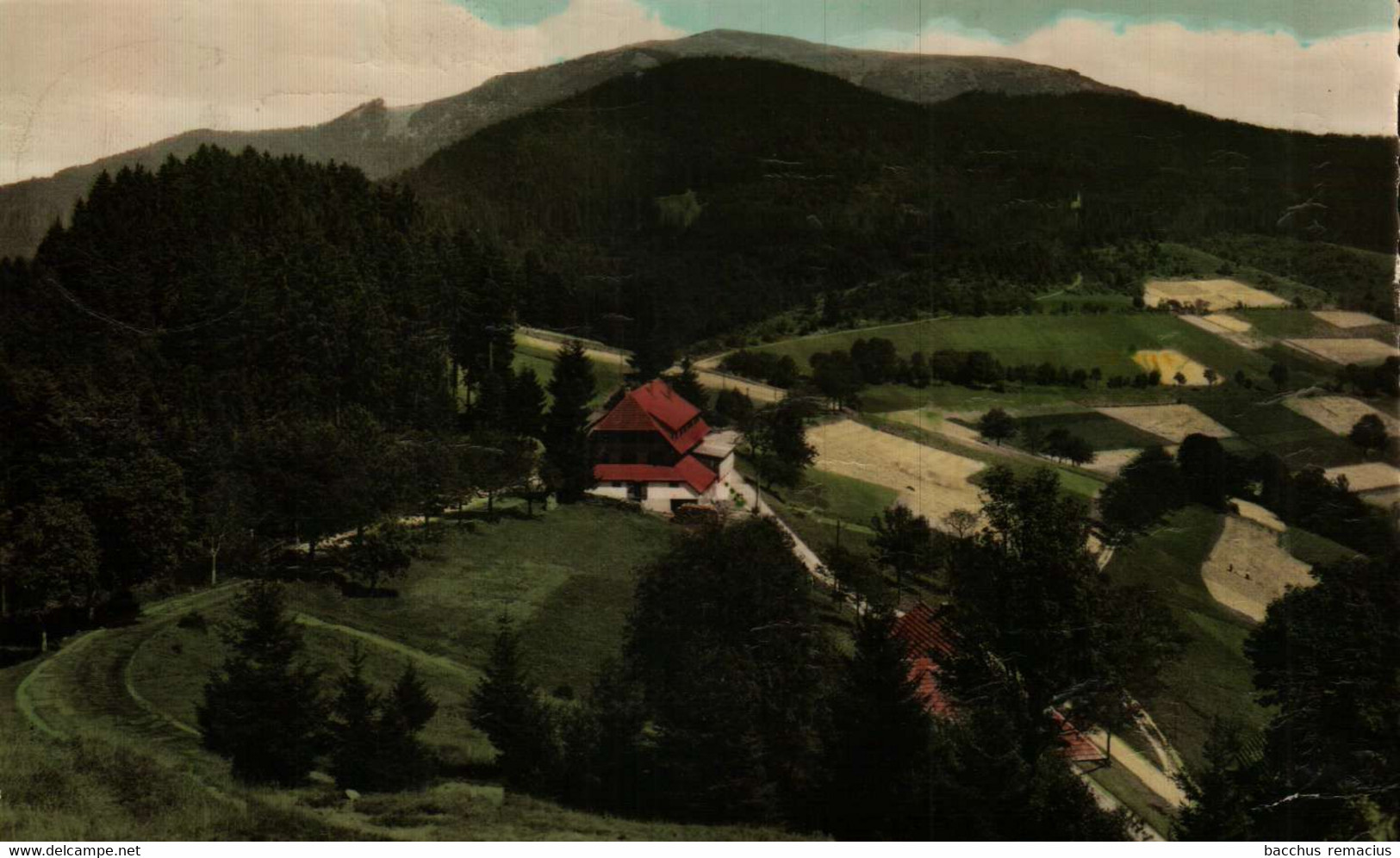 NEUENWEG über SCHOPFHEIM Gasthaus - Pension Haldenhof Inh. Josef Müller - Schopfheim