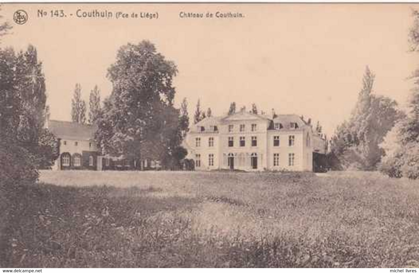 Couthuin - Château De Couthuin - Héron - Pas Circulé - Nels - TBE - Héron