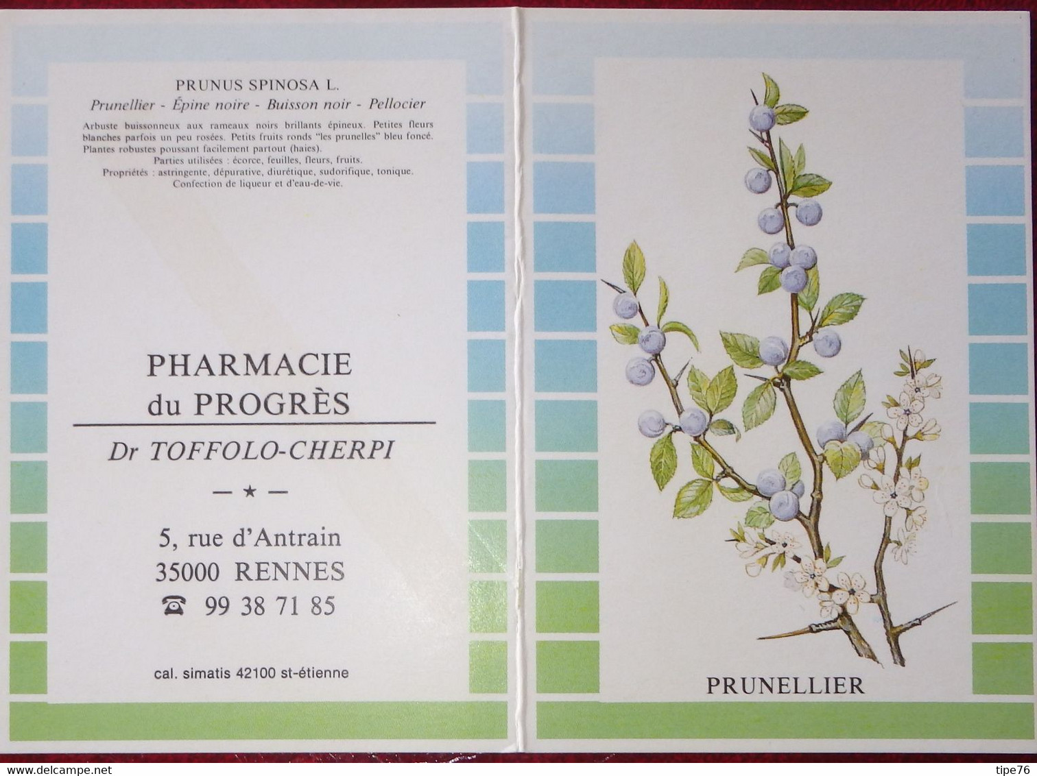 Petit Calendrier De Poche 1991 Arbuste Prunellier - Pharmacie Rennes Ille Et Vilaine - Petit Format : 1991-00