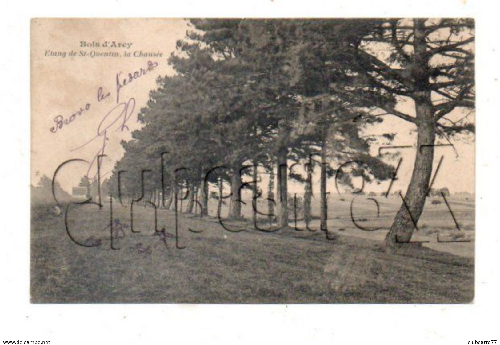 Bois-d'Arcy (78) : La Chaussée De L'étang De Saint-Quentin  En 1905 PF. - Bois D'Arcy