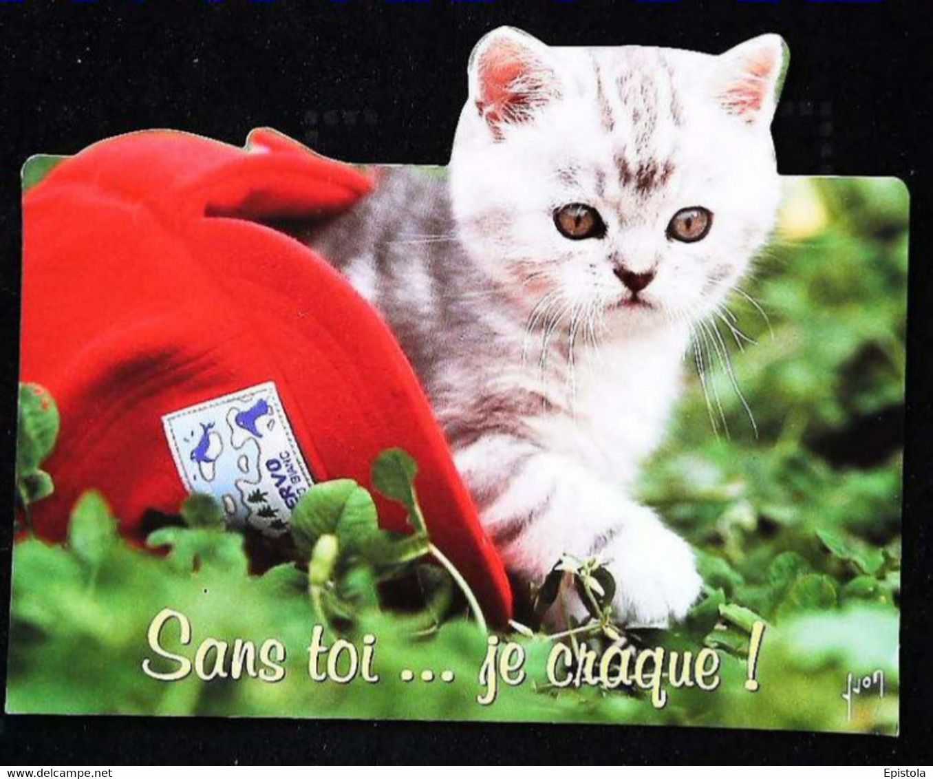 ►   Decoupis Moderne Français   - Chat Dans  Casquette   -   French Cat   Imp. Paris - Tiere