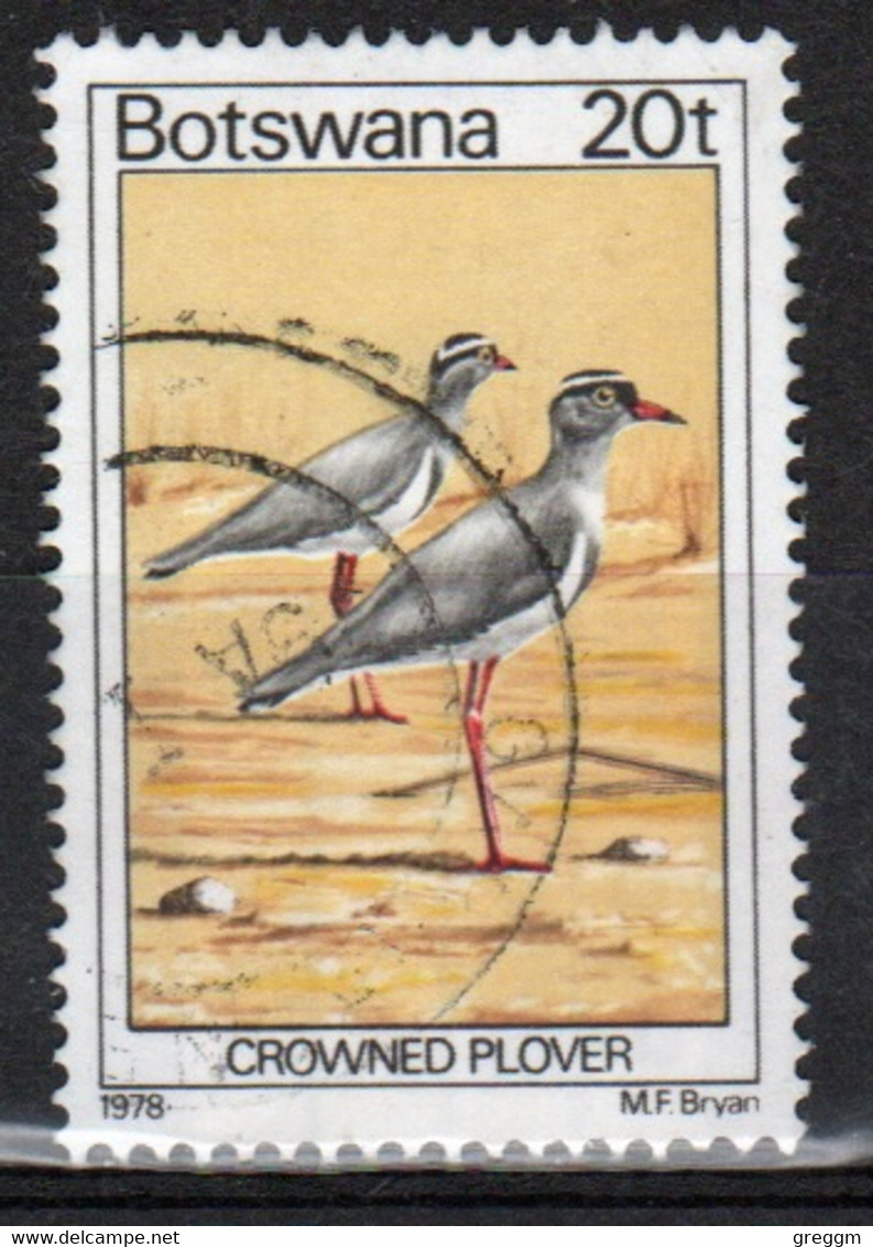 Botswana 1978 Single 20t Definitive Stamp From The Birds Set. - Botswana (1966-...)