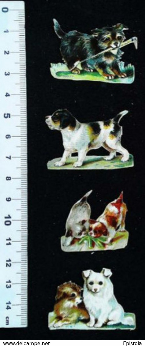 ►   Decoupis XIXeme  -  4 Petites Scènes De Chiens    (Dog Hund) - Animales