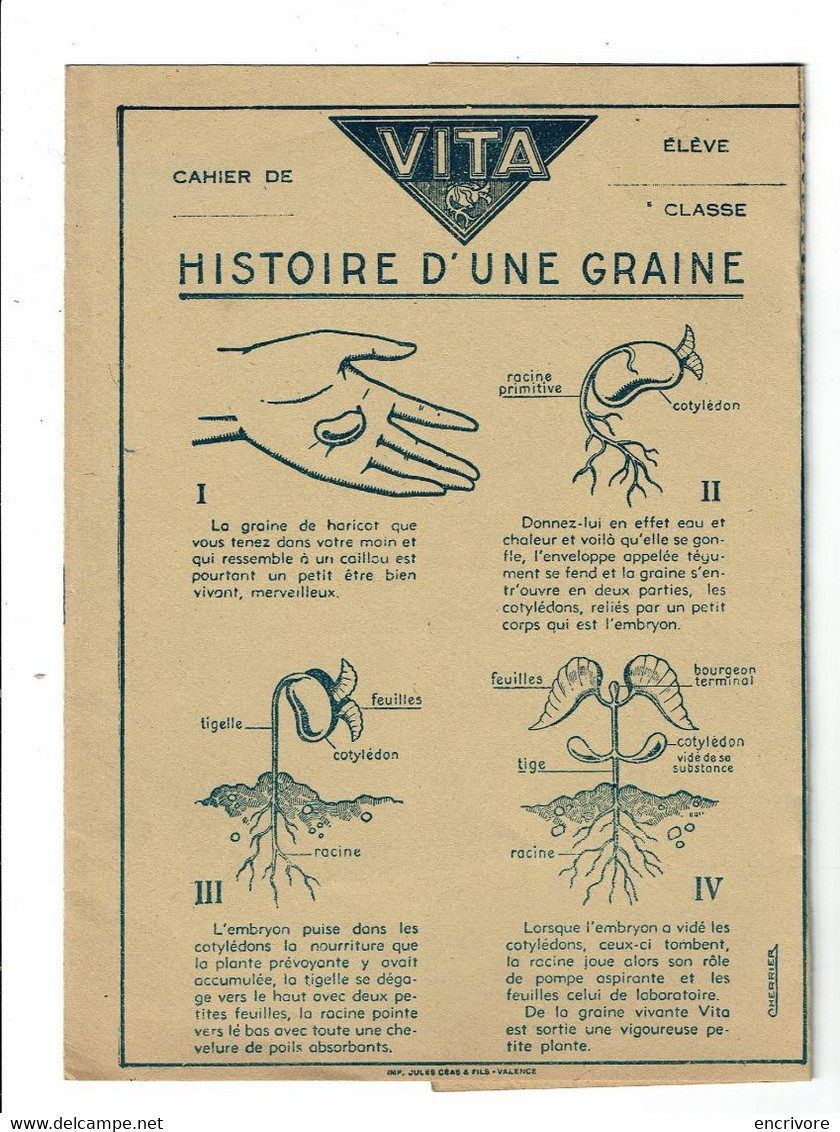 Protège Cahier VITA Histoire D'une Graine Légumes Et Fleurs Orthographe - Agriculture