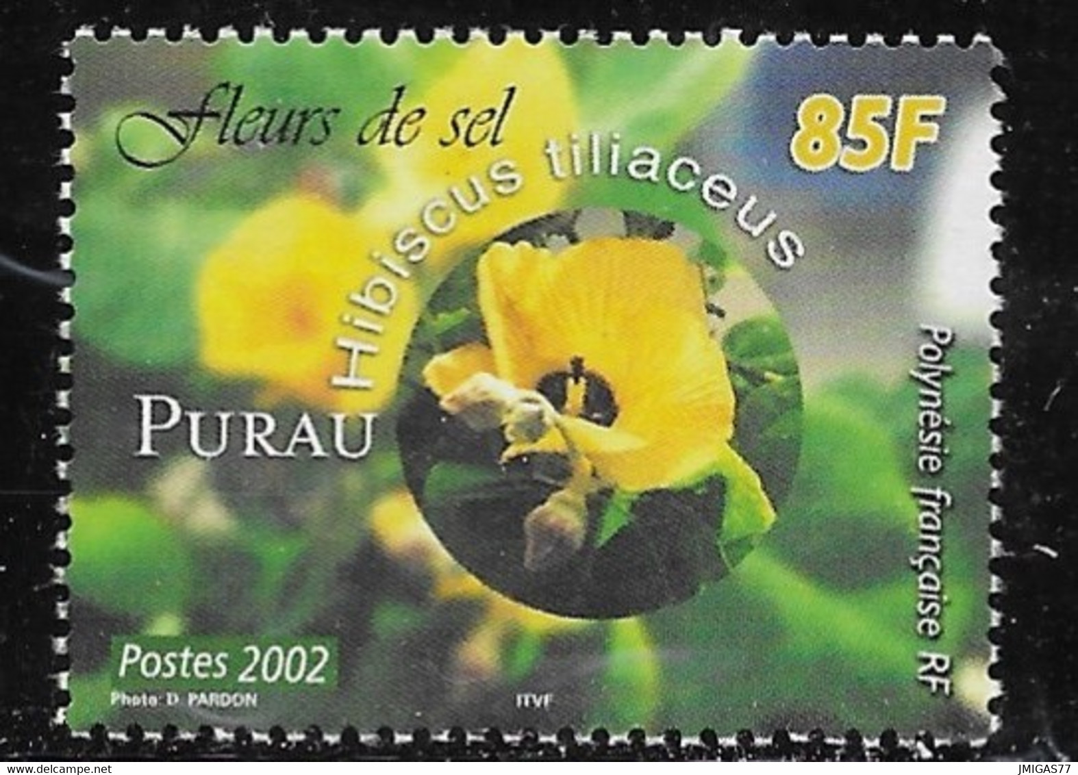 Polynésie Française N° 677 - Unused Stamps