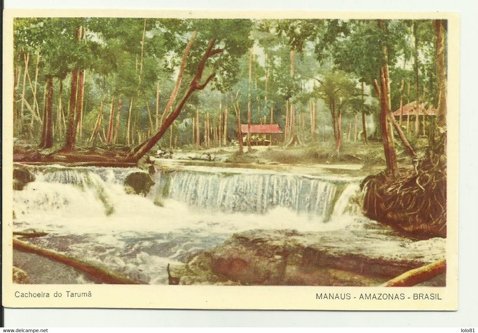 CPM Taruma Waterfall - Manaus