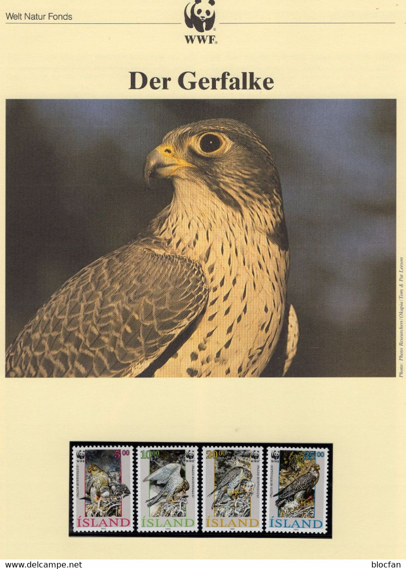 Falken Dokumentation 1992 Set 136 ICELAND 776/9 **, 4MC+ FDC 26€ WWF Gerfalke Naturschutz Fauna Birds Falco Of Wild-life - Covers & Documents
