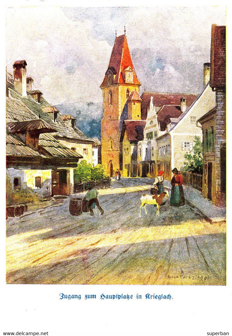 KRIEGLACH - PETER ROSEGGERS HEIMAT : ZUGANG ZUM HAUPTPLATZE IN KRIEGLACH - ANNÉE / YEAR ~ 1920 (ah218) - Krieglach