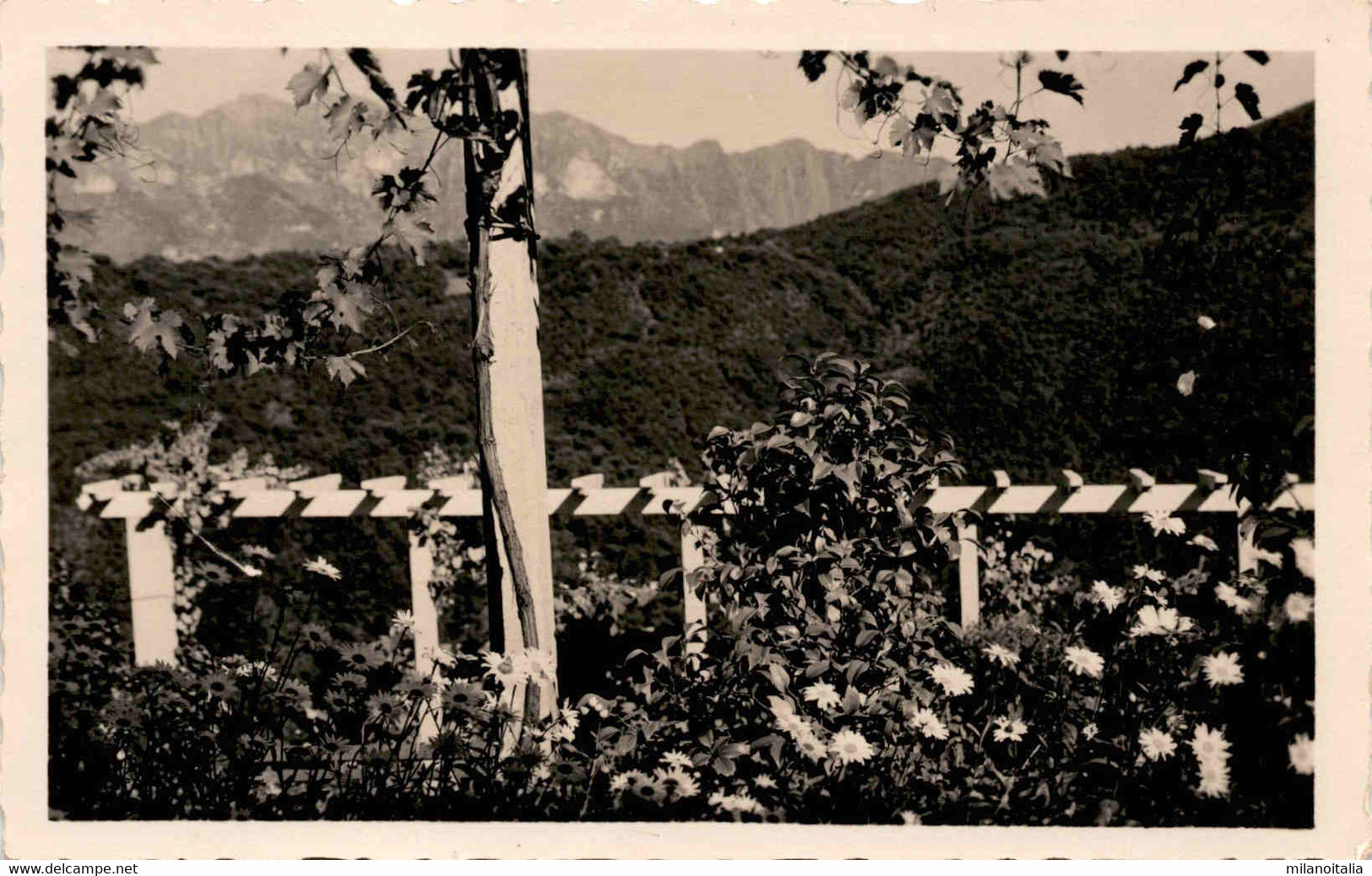 Sanatorium Agra - Blick Auf Den Monte Generoso - Agra