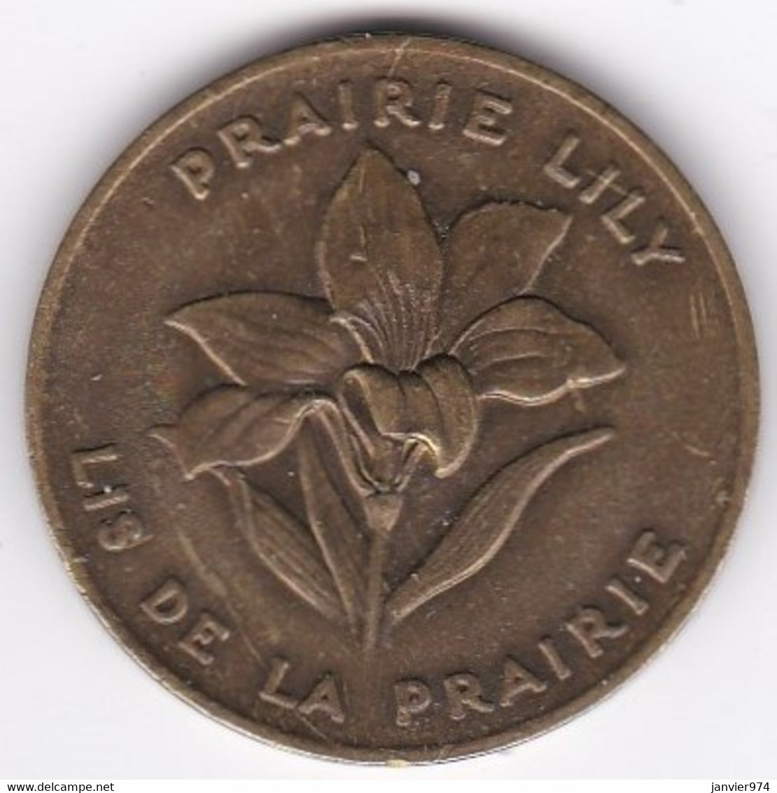 Canada Médaille Saskatchewan 1905 Prairie Lily, Lis De La Prairie, En Zinc Plaqué Laiton - Autres & Non Classés