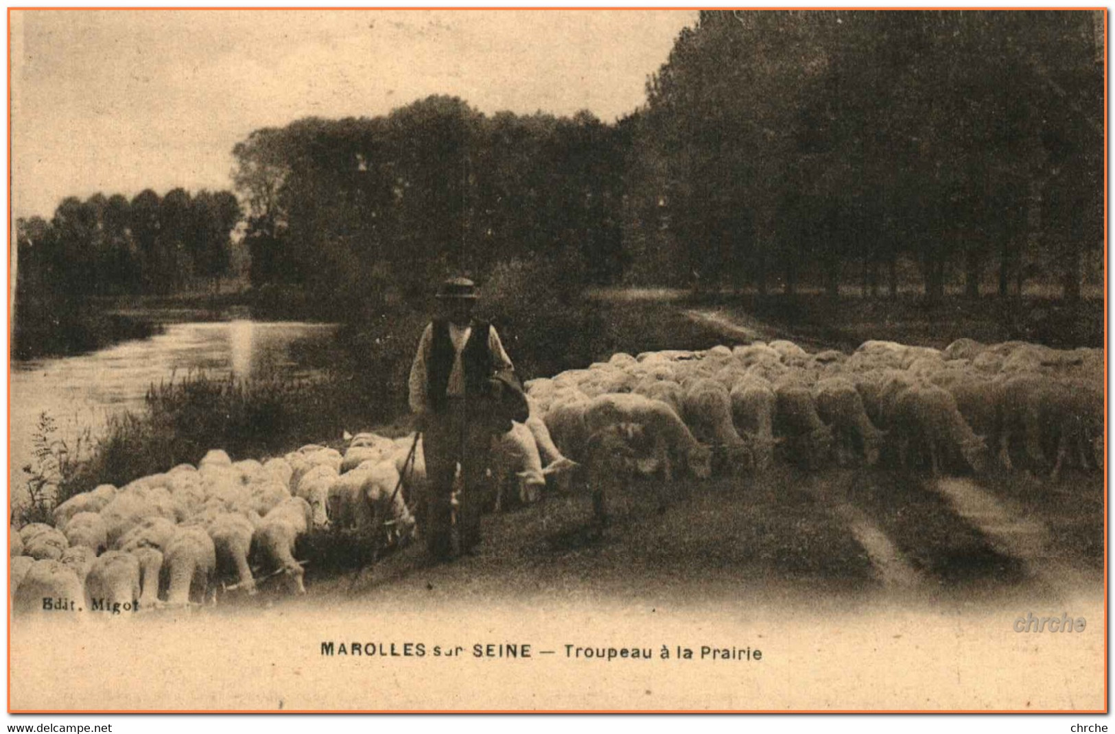 77 - MAROLLES SUR SEINE - Troupeau à La Prairie   *** Pastorale *** - Altri & Non Classificati