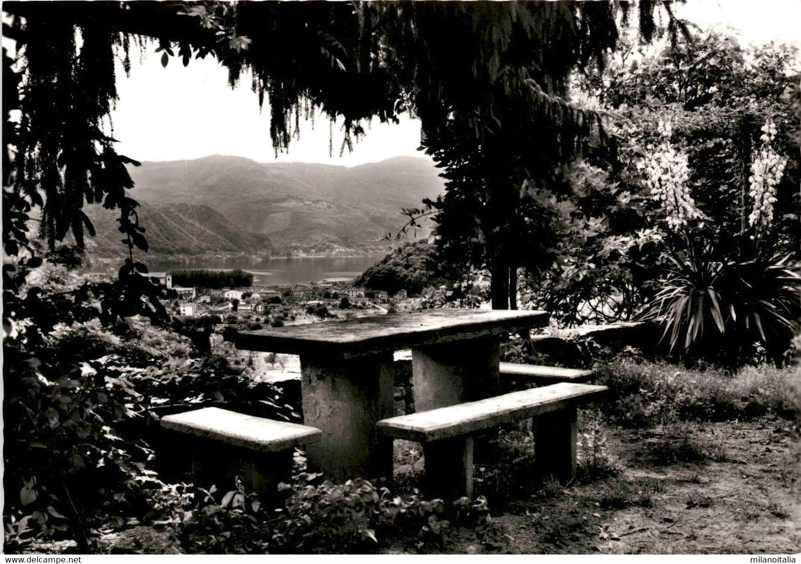 Gott-hilft-Häuser - Pura (Tessin) - Gartenpartie Mit Blick Auf Den Luganersee (123-9) - Pura