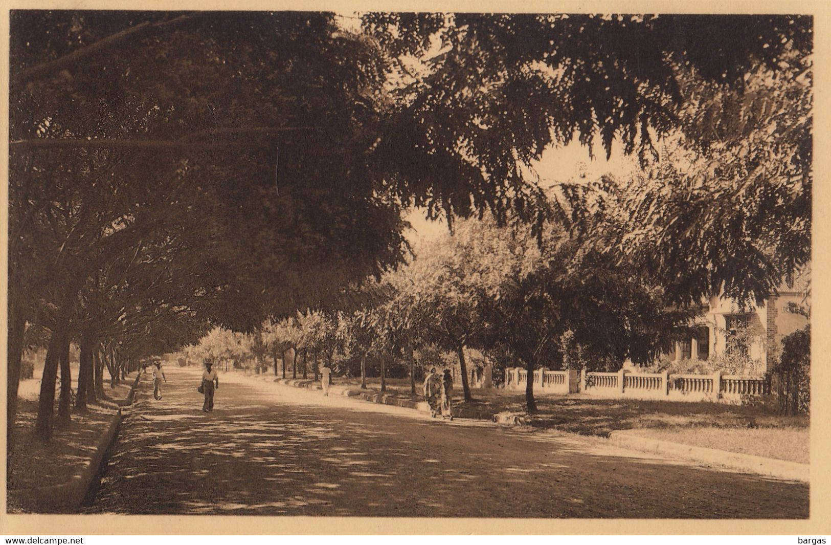 Carte Postale Afrique Congo Avenue De Sankuru à Lubumbashi Elisabethville - Lubumbashi