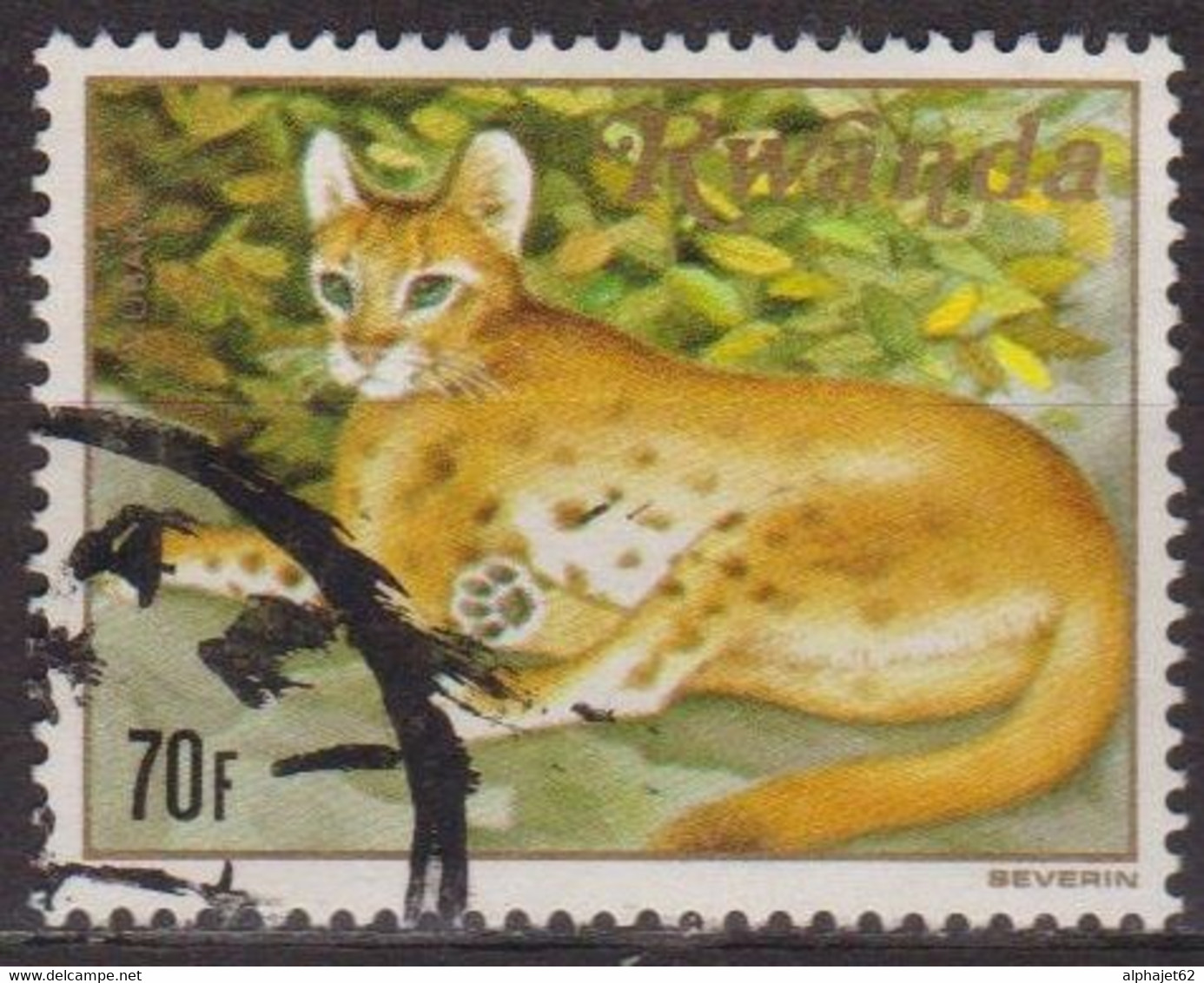 Faune Sauvage - RUANDA - RWANDA - Chat Doré Africain - N° 1006 - 1981 - Used Stamps