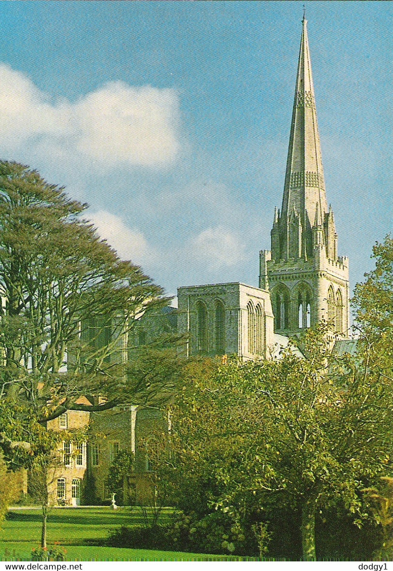 CHICHESTER CATHEDRAL, SUSSEX, ENGLAND. UNUSED POSTCARD Qq7 - Chichester