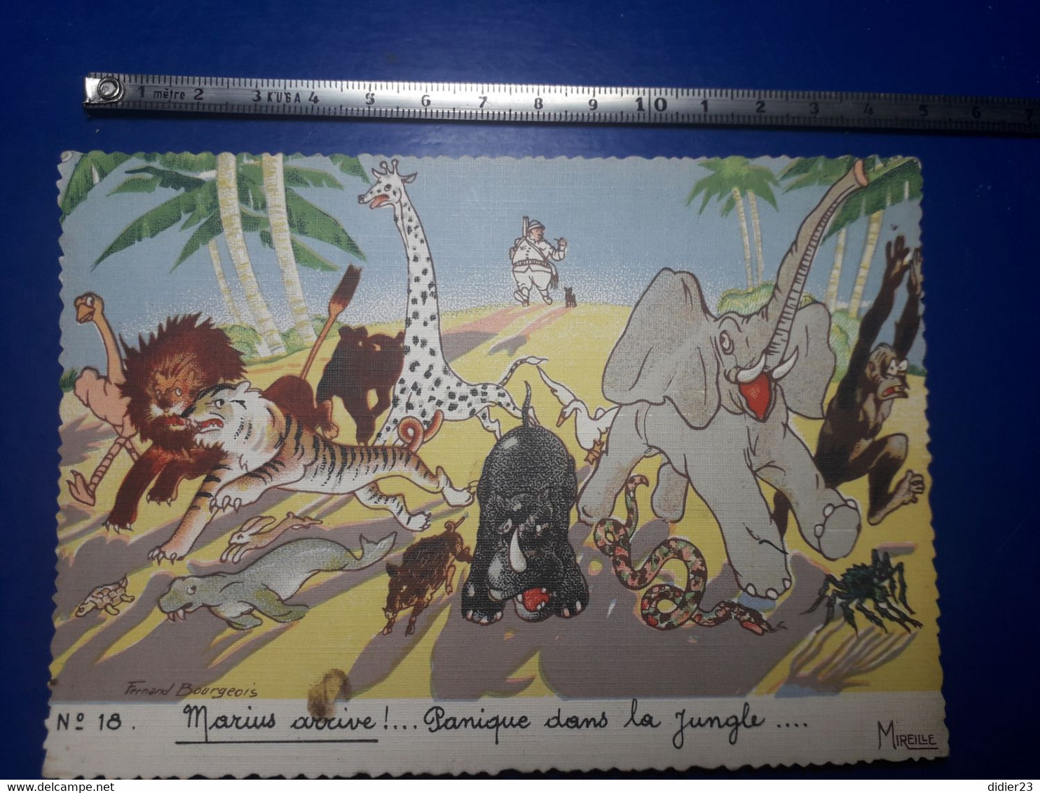 FERDINAND BOURGEOIS N 18 MARIUS ARRIVE PANIQUE DANS LA JUNGLE CHASSEUR LION TIGRE AUTRUCHE GIRAFE ELEPHANT RHINOCEROS - Bourgeois