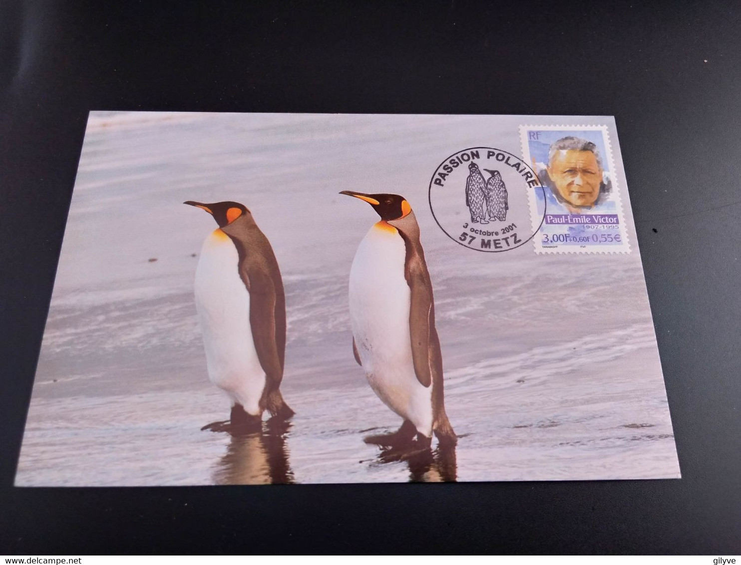 CPA. Manchots Royaux.  Passion Polaire    (028) - TAAF : French Southern And Antarctic Lands