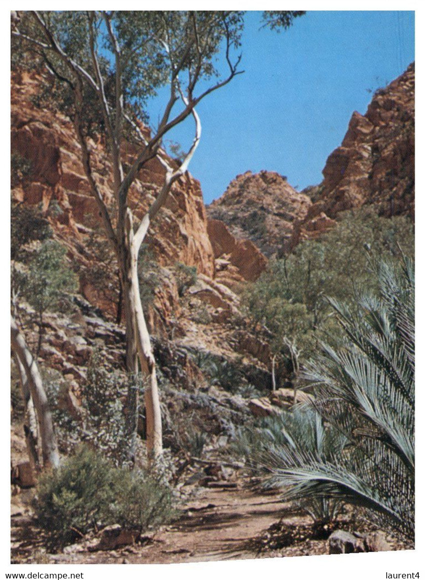 (QQ 5) Australia - NT - Standley Chasm - The Red Centre