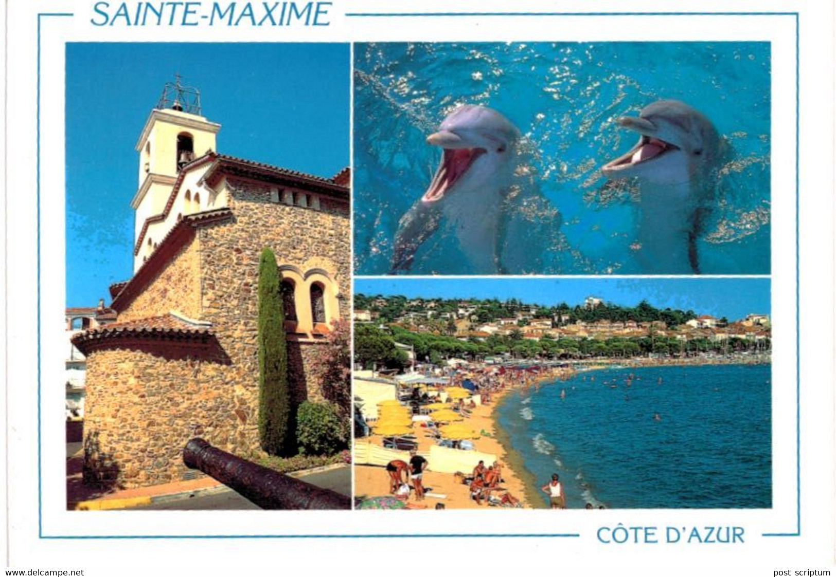 Lot   - Thème - animaux -  Dauphin -   68 cartes