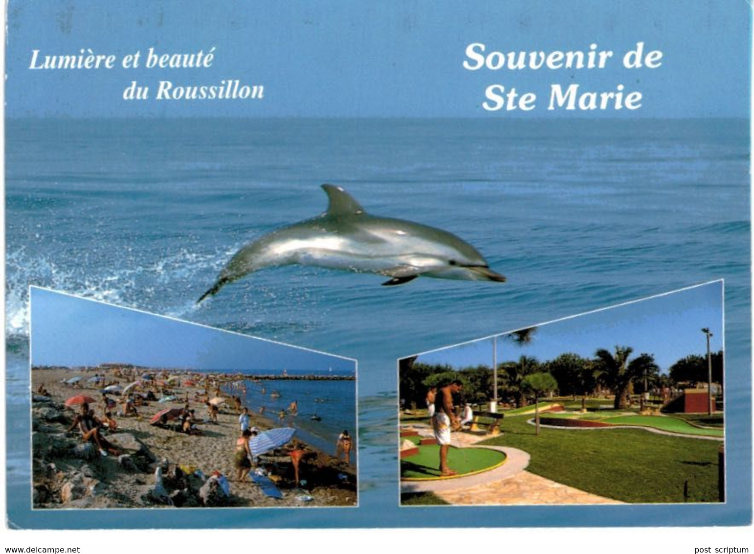 Lot   - Thème - animaux -  Dauphin -   68 cartes