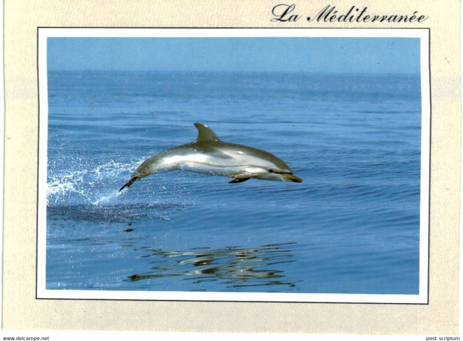 Lot   - Thème - animaux -  Dauphin -   68 cartes