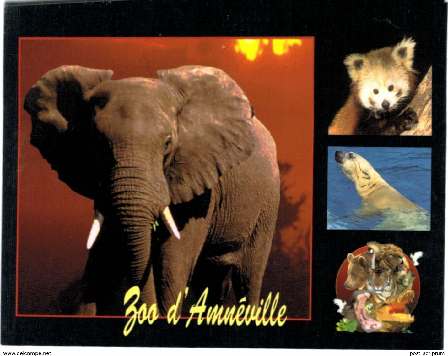 Lot   - Thème - animaux -  éléphant -   environ 90 cartes