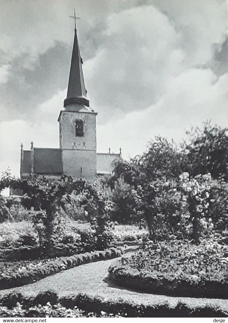 Meise Sint Martinuskerk ( XVI De Eeuw) - Meise