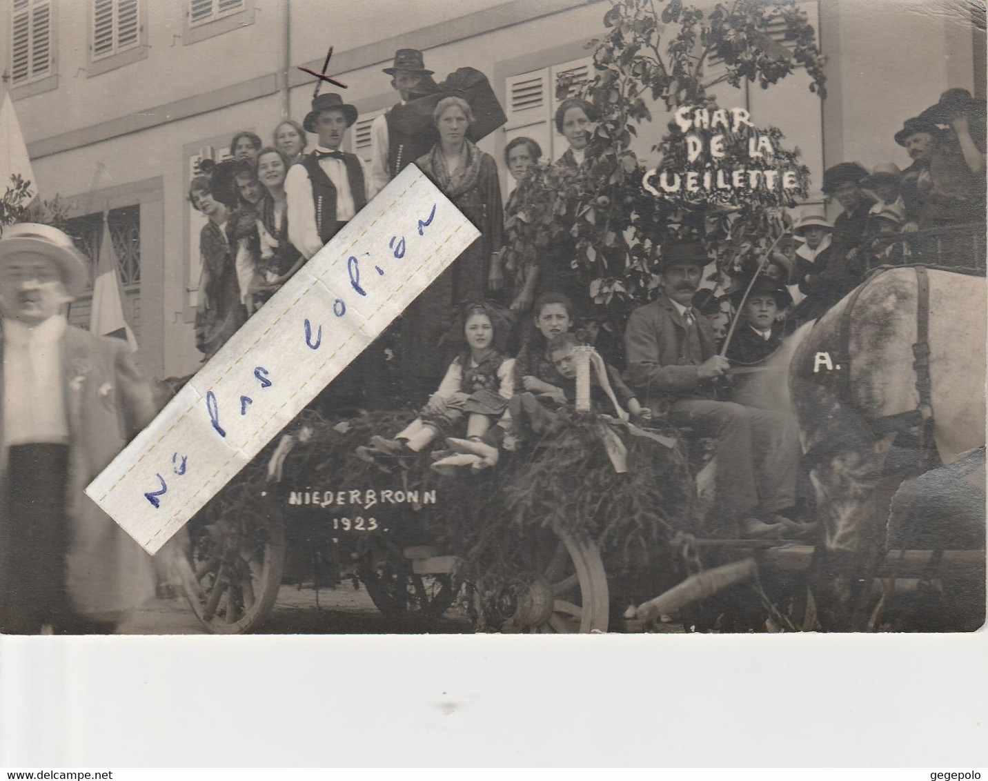 NIEDERBRONN - Le Char De La Cueillette En 1923       ( Carte Photo ) - Niederbronn Les Bains